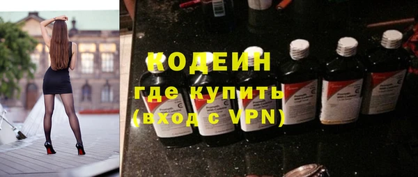 шишки Козловка