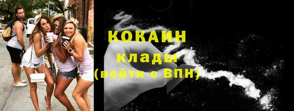 шишки Козловка
