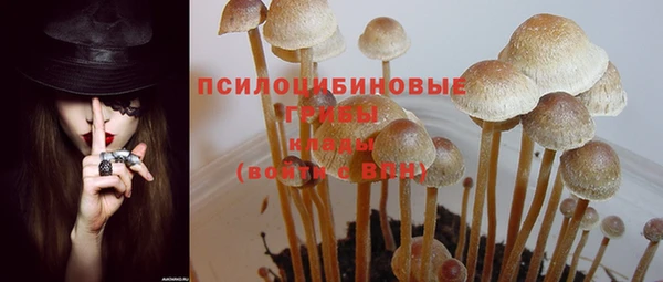 гашик Козельск