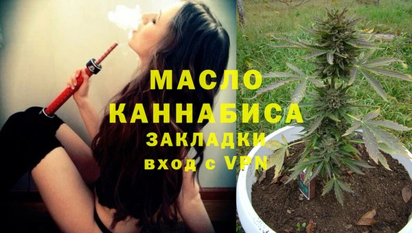 гашик Козельск