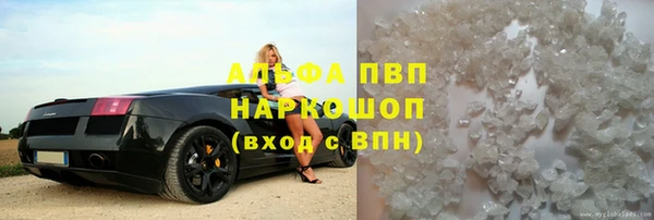 гашик Козельск
