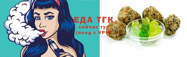 гашик Козельск