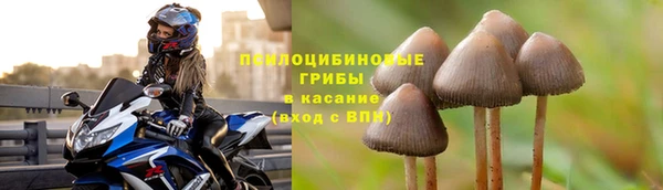 тгк Кодинск