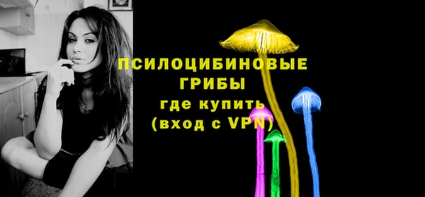 гашик Козельск