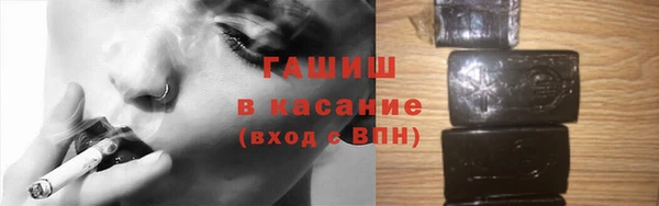 гашик Козельск