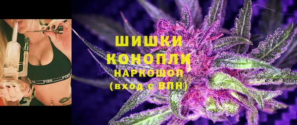 гашик Козельск