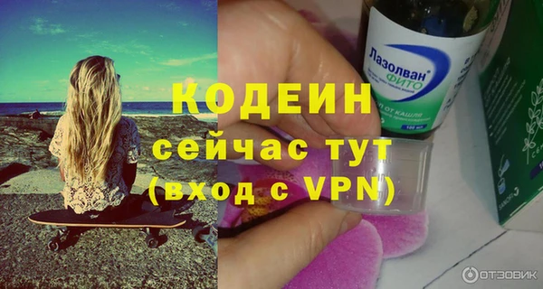 шишки Козловка
