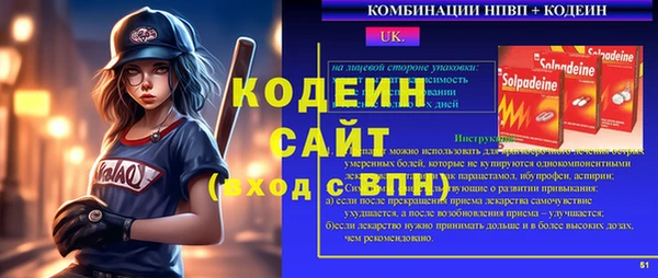 гашик Козельск