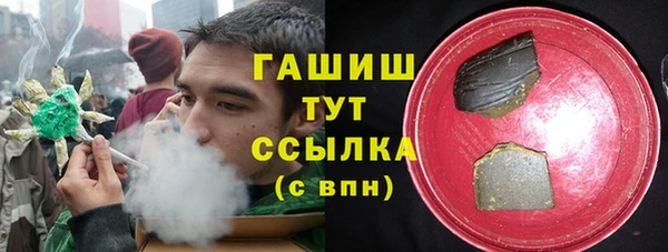 гашик Козельск