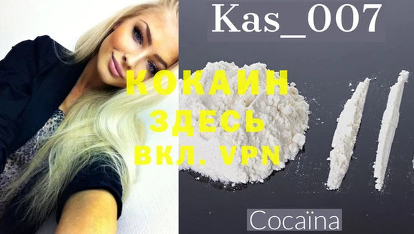 шишки Козловка