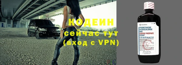 гашик Козельск