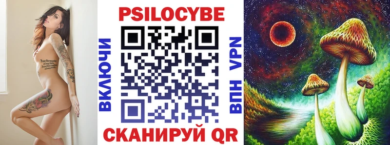 Купить  Рыльск  Псилоцибиновые грибы Cubensis 