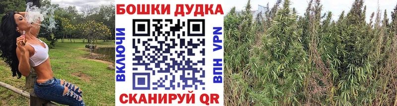 Купить Рыльск Каннабис White Widow